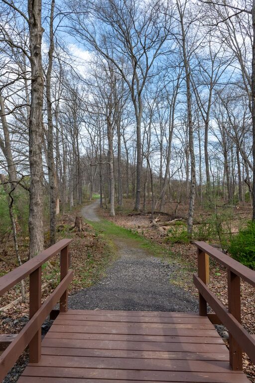 Beginner Friendly Walking Routes in Your Local Area