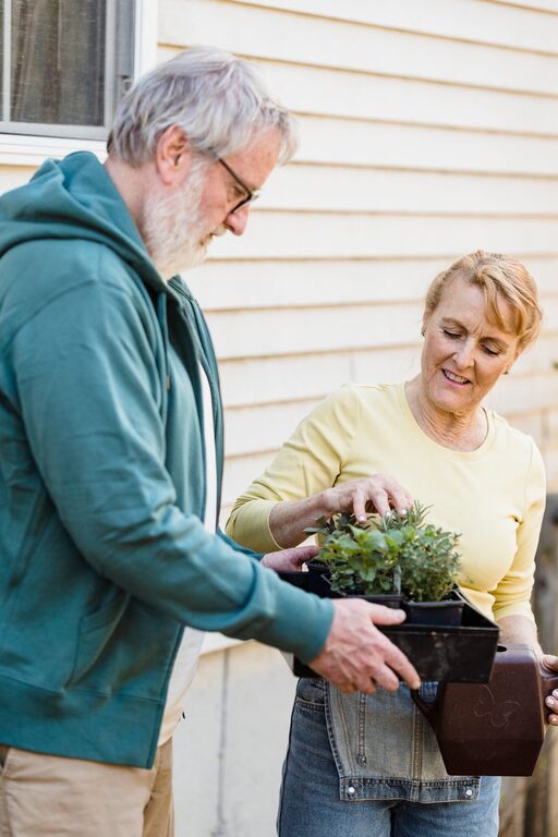 Gentle Gardening Projects That Keep You Moving
