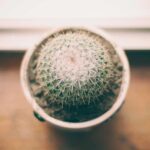 Simple Ways to Stay Connected With Family Through Video Calls