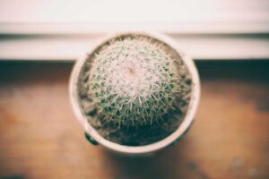 Simple Ways to Stay Connected With Family Through Video Calls